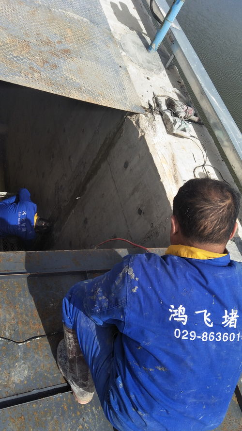 錦州與蘇州防水堵漏市場概況 廠家選擇與報價因素解析